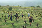 Cyprus treks are picturesque and interesting.