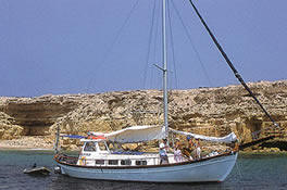 Boat safari in Cyprus with Cyprus Adventure. Make a booking, click here !